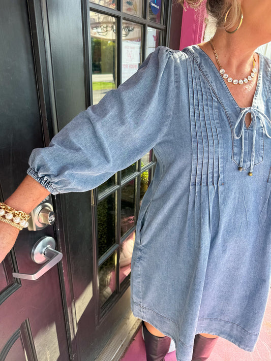 Denim LS Pleated Dress