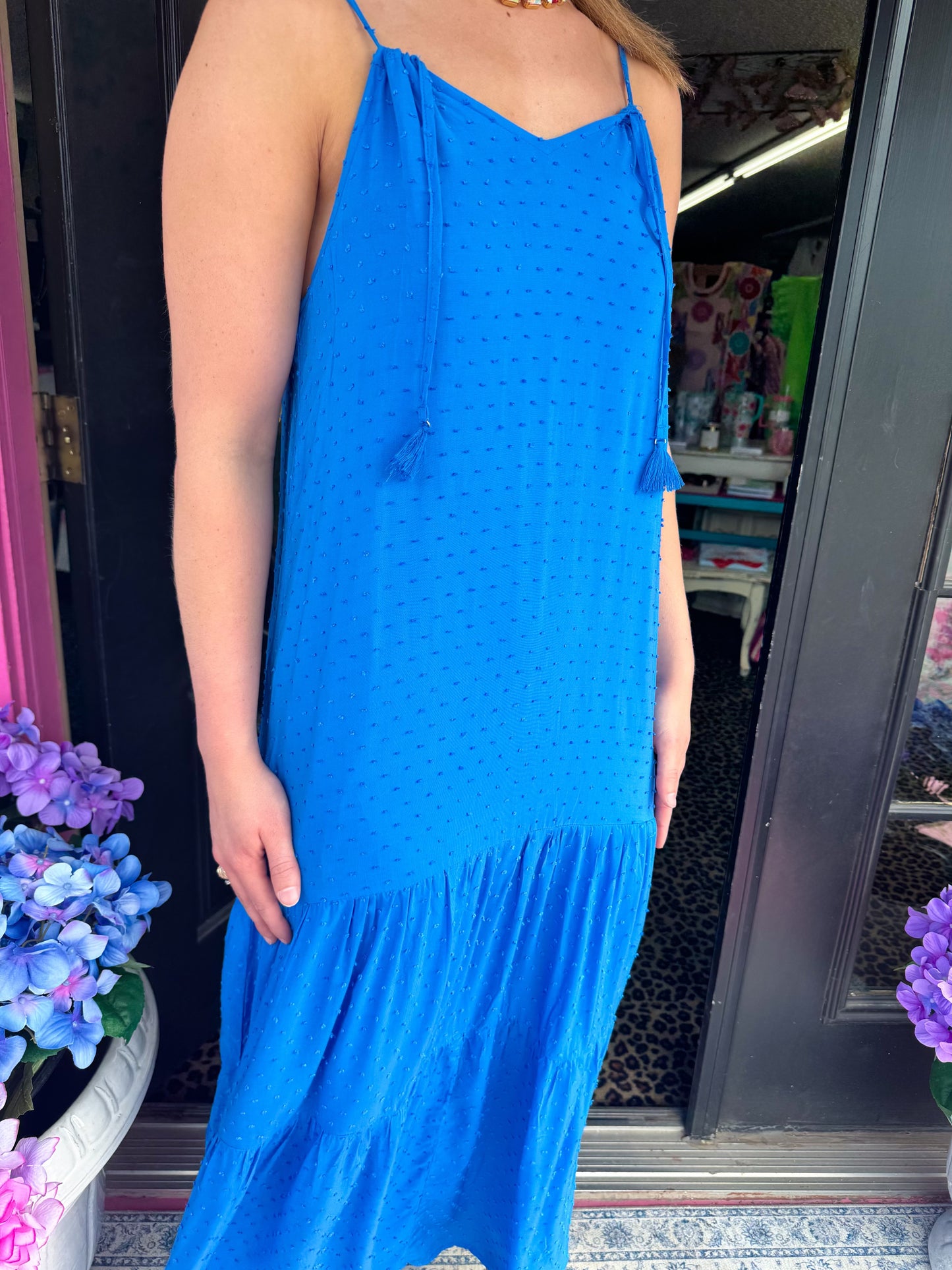 Ryo Blue Dotted Swiss Maxi