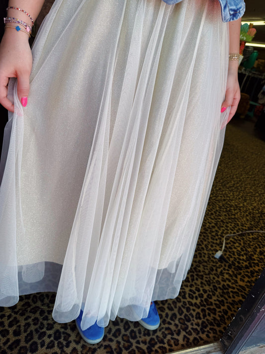 Beige Sparkly Skirt with Mesh