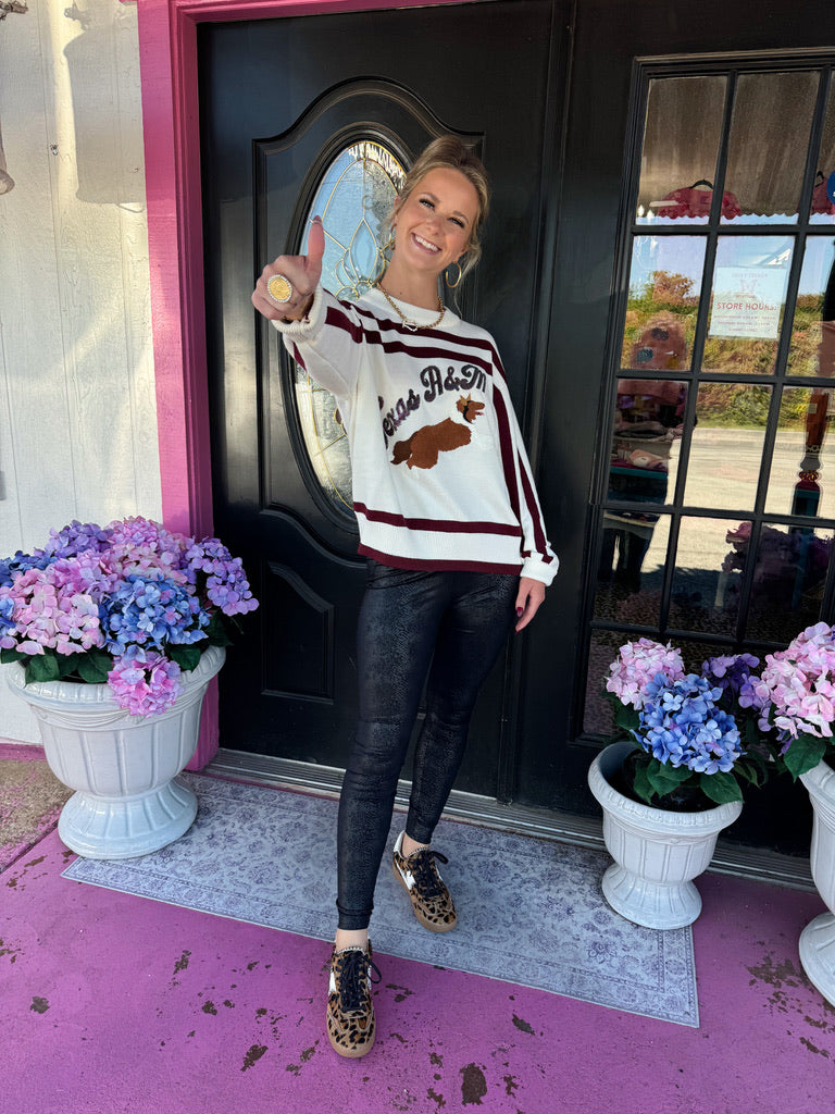 A&M Collie Dog Sweater