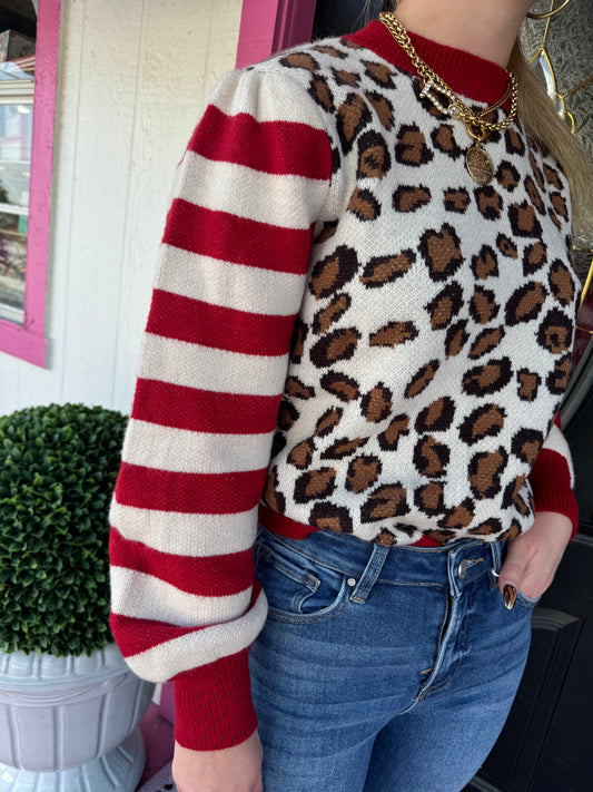 Cheetah & Striped Sweater Top