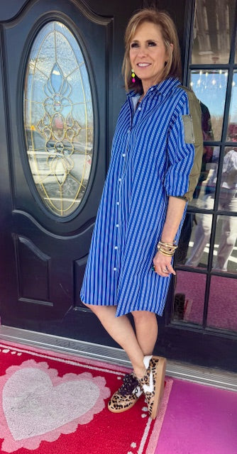 Blue/Olive Karishma Dress