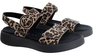 Leopard Back Strap Sandal