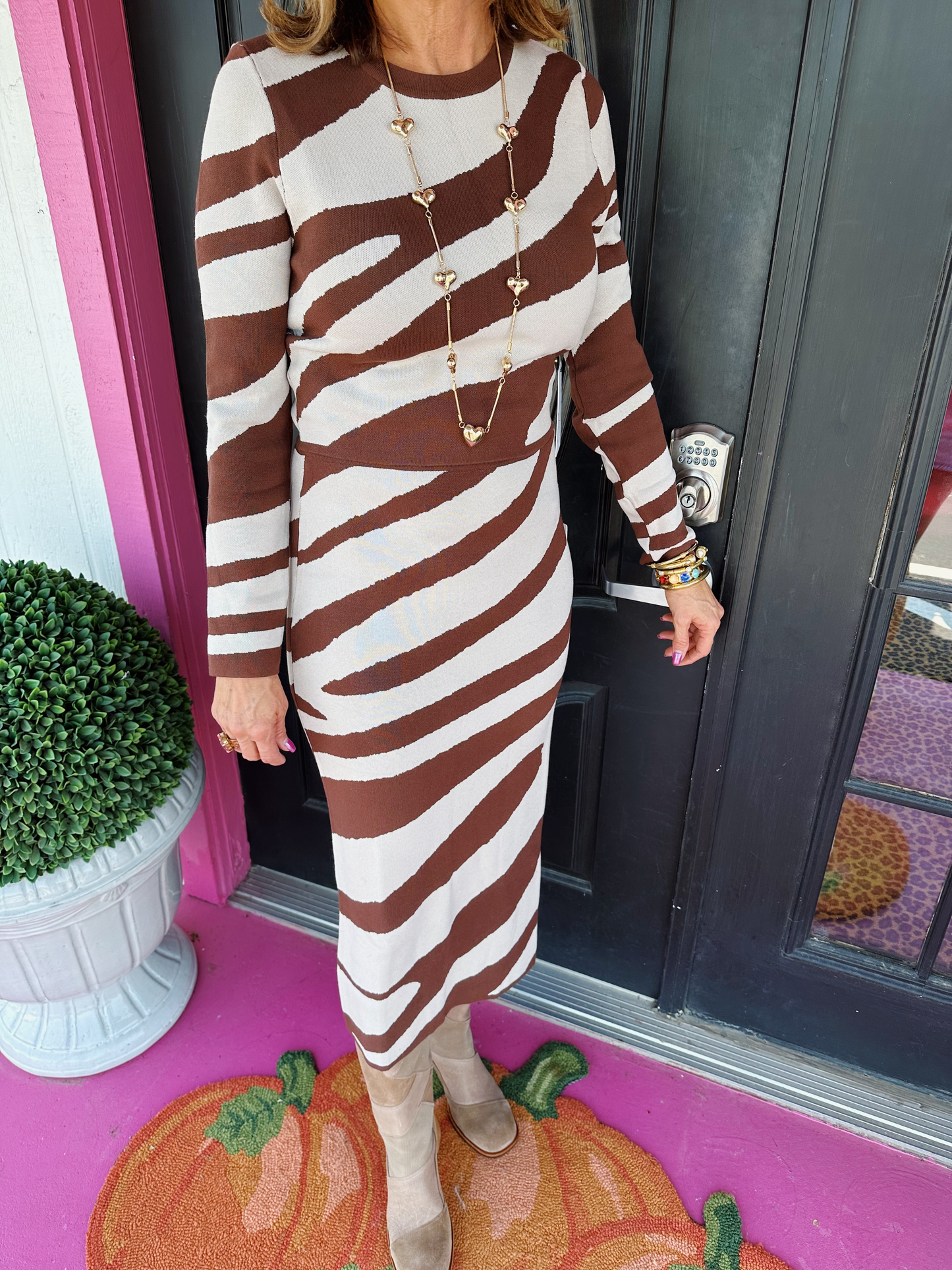 Taupe/Brown Zebra Skirt Set