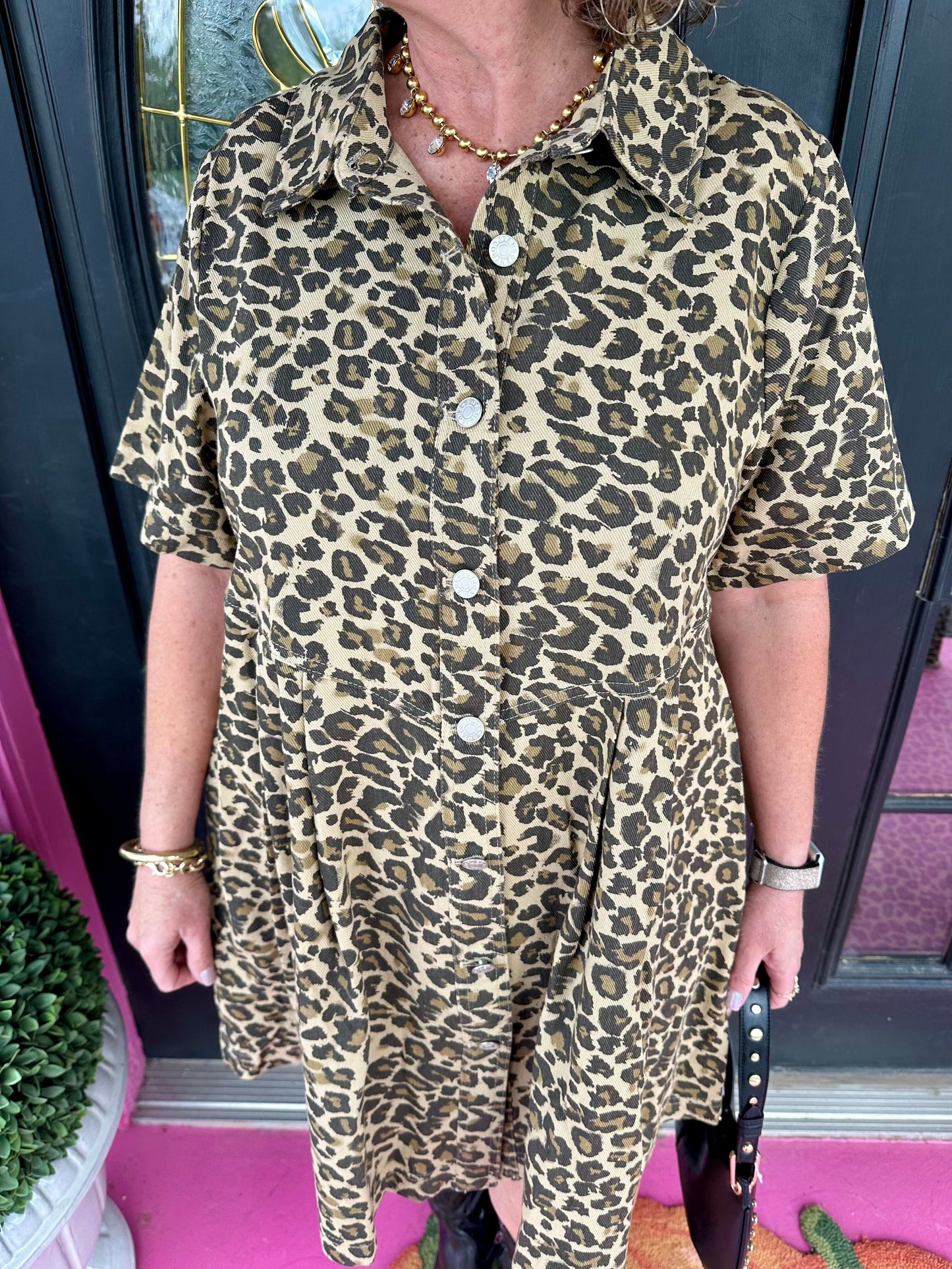 Taupe Leopard Button Mini Dress