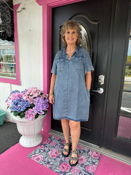Short Sleeve Denim Shift Dress