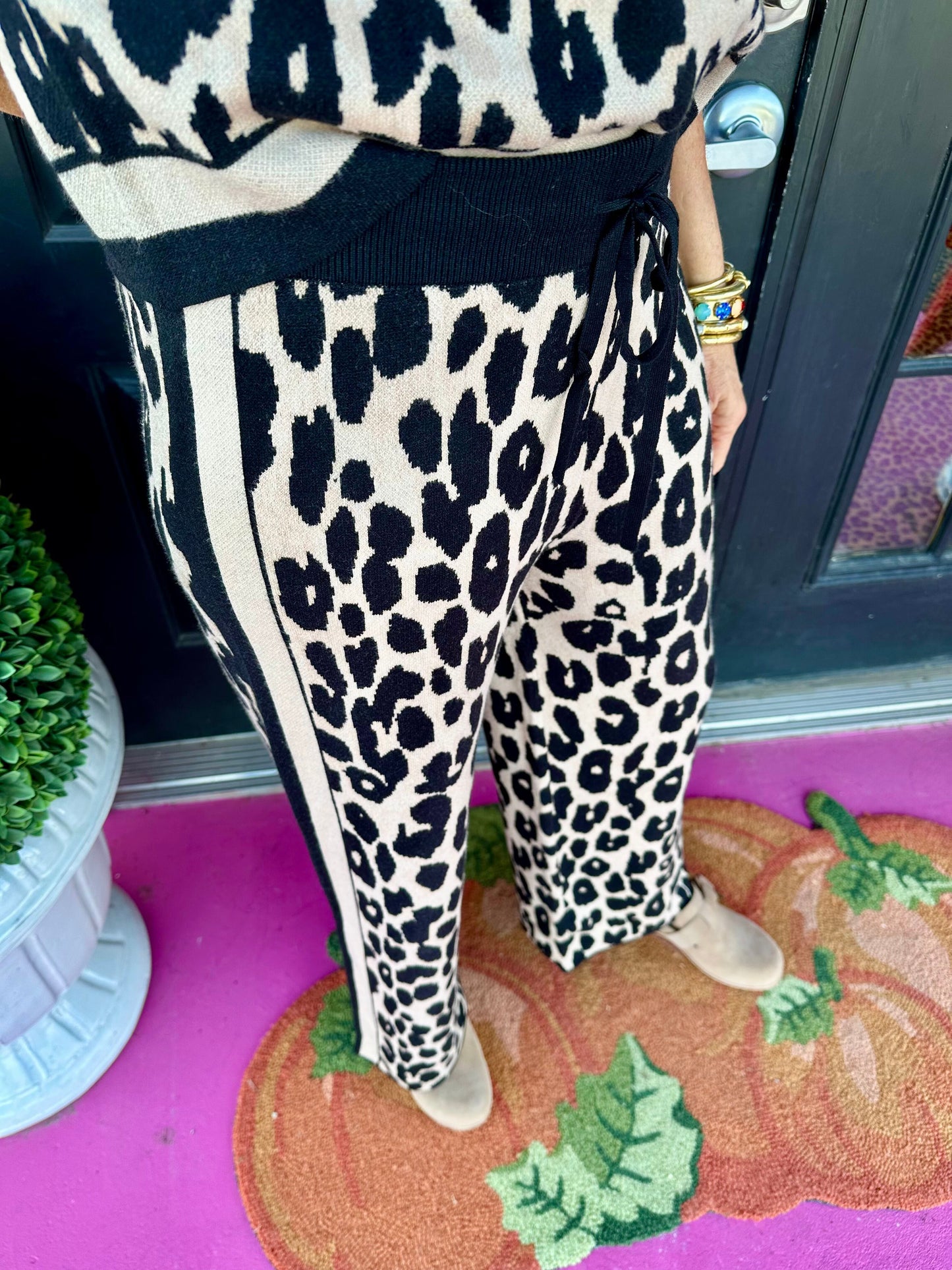 Leopard SS Sweater Pant Set