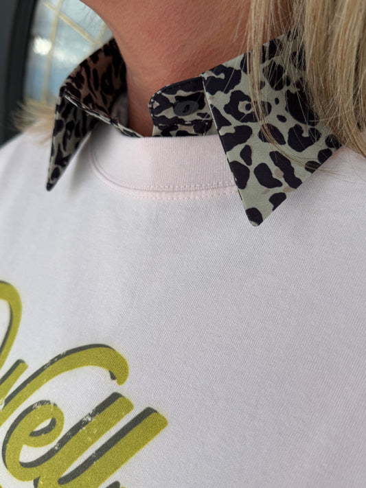 Specialty Collar