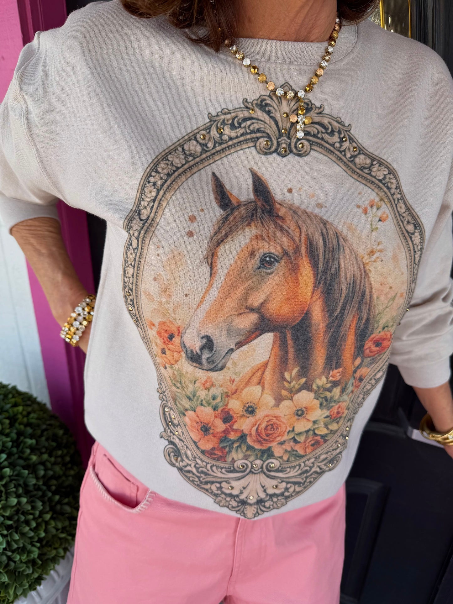 Horse Frame Sweatshirt